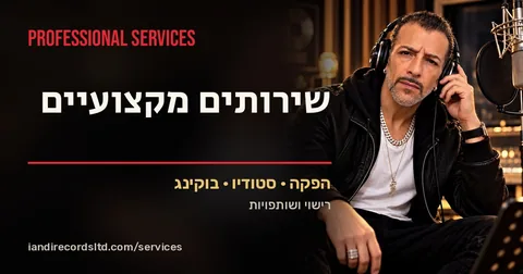 שירותים מקצועיים · תצוגת הקישור